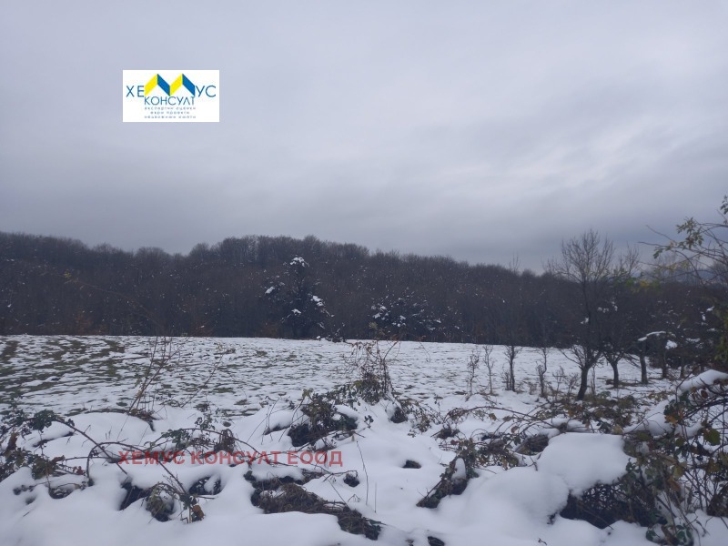 Продава ПАРЦЕЛ, гр. Априлци, област Ловеч, снимка 3 - Парцели - 53102046