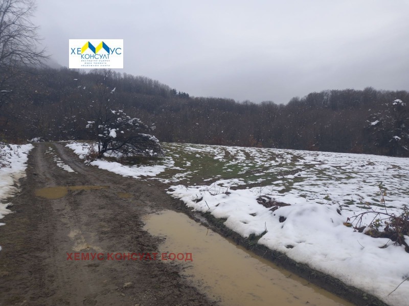 Продава ПАРЦЕЛ, гр. Априлци, област Ловеч, снимка 4 - Парцели - 53102046