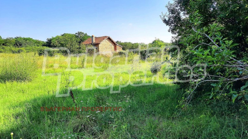 Продава ЗЕМЕДЕЛСКА ЗЕМЯ в област Варна, с. Юнак - 3.689 дка / 8 500 € » 16 624.56 лв., БЪЛГЕРИАН ПРОПЕРТИС