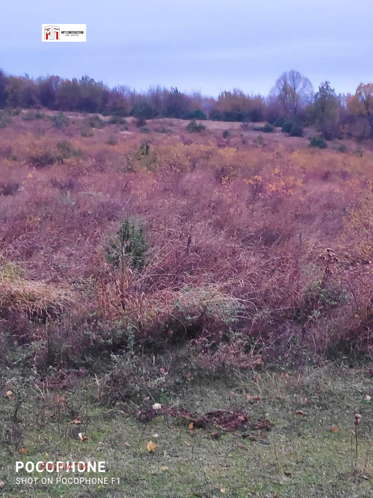 ������� ������ | Imot.bg � ����������� 8