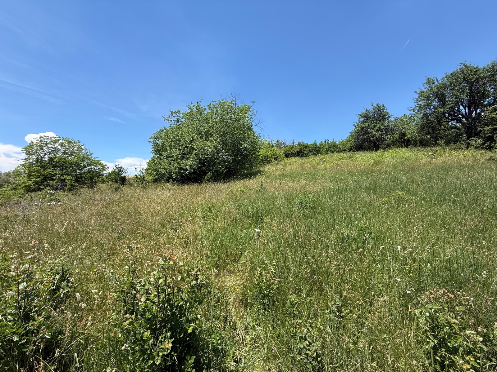 ������� ������ | Imot.bg � ����������� 12
