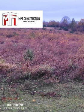 ������� ������ | Imot.bg � ����� ������ 8