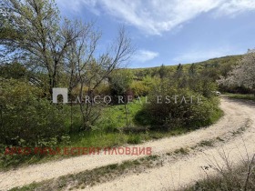 ����� ������� ������,�. ��������, ������ �������