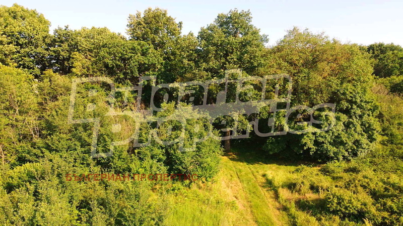 Продава  Вила област Ловеч , с. Бежаново , 90 кв.м | 18423011 - изображение [2]