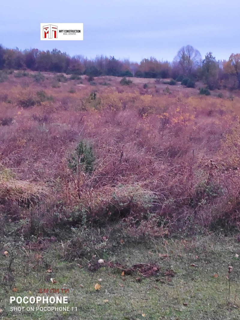 Продава ПАРЦЕЛ, с. Цар Калоян, област Пловдив, снимка 7 - Парцели - 53016699