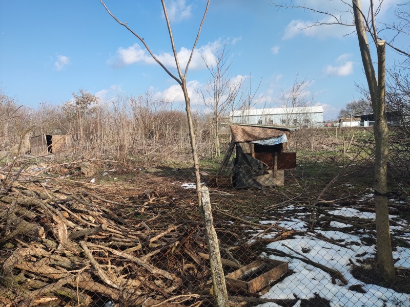 De vânzare  Complot regiunea Dobrich , Pcielarovo , 1070 mp | 40588284 - imagine [2]