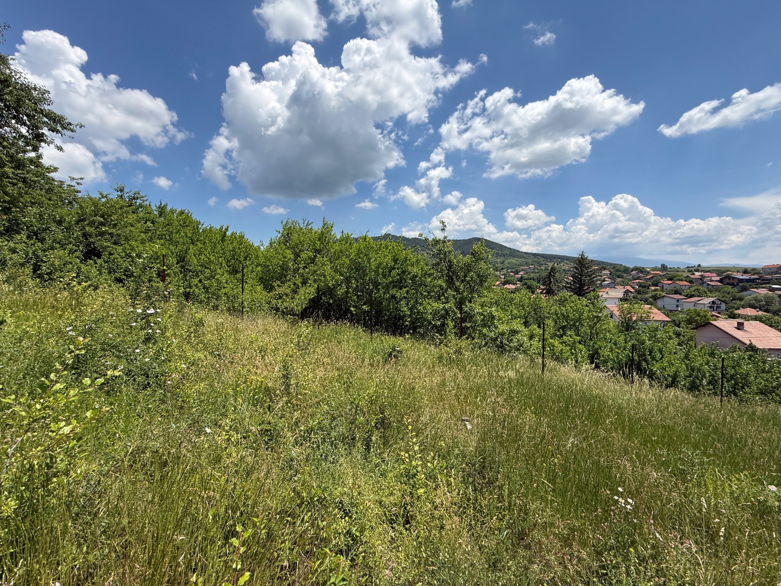 Продава ПАРЦЕЛ, с. Дивотино, област Перник, снимка 10 - Парцели - 54407339