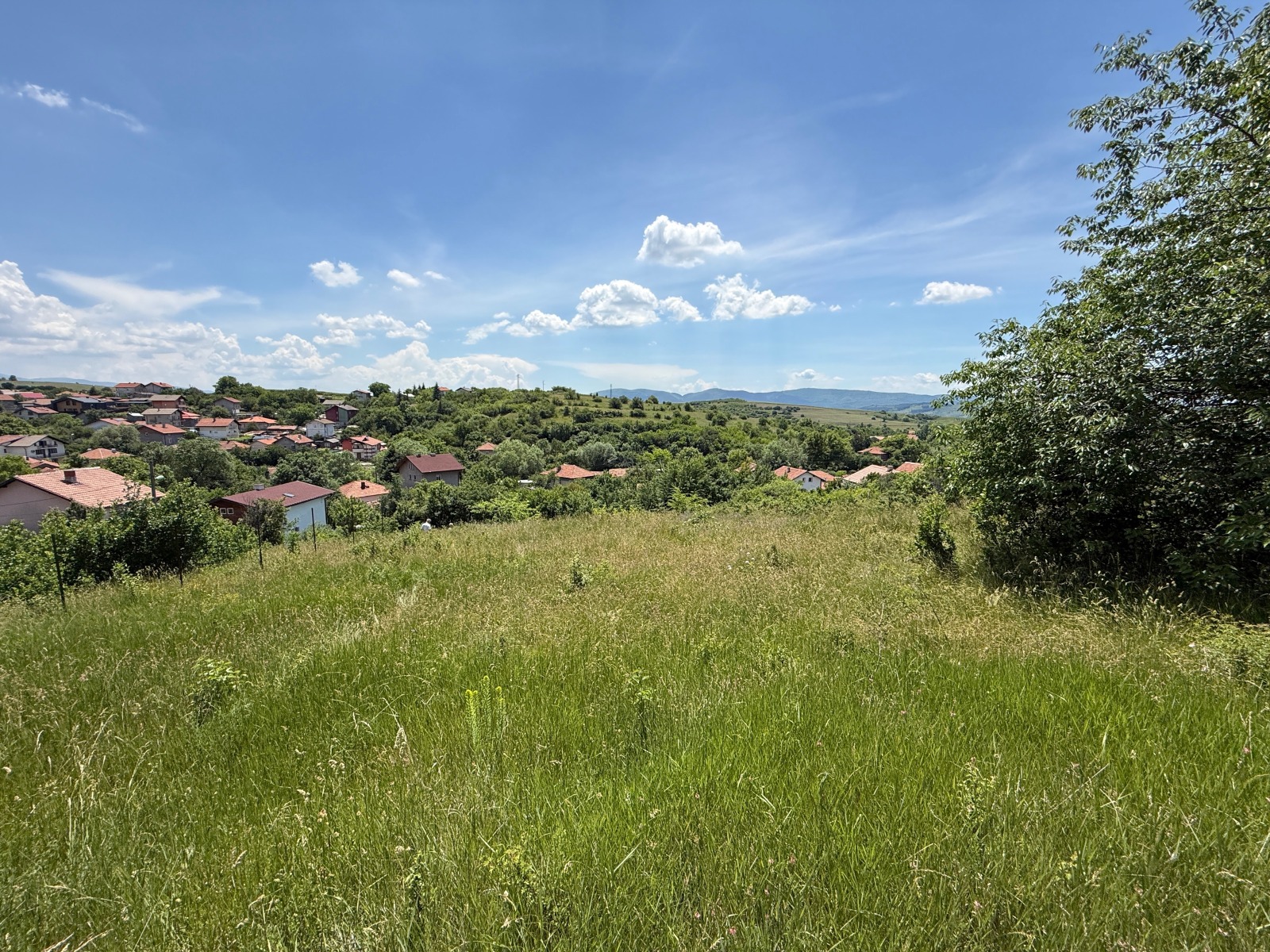 Продава ПАРЦЕЛ, с. Дивотино, област Перник, снимка 6 - Парцели - 54407339