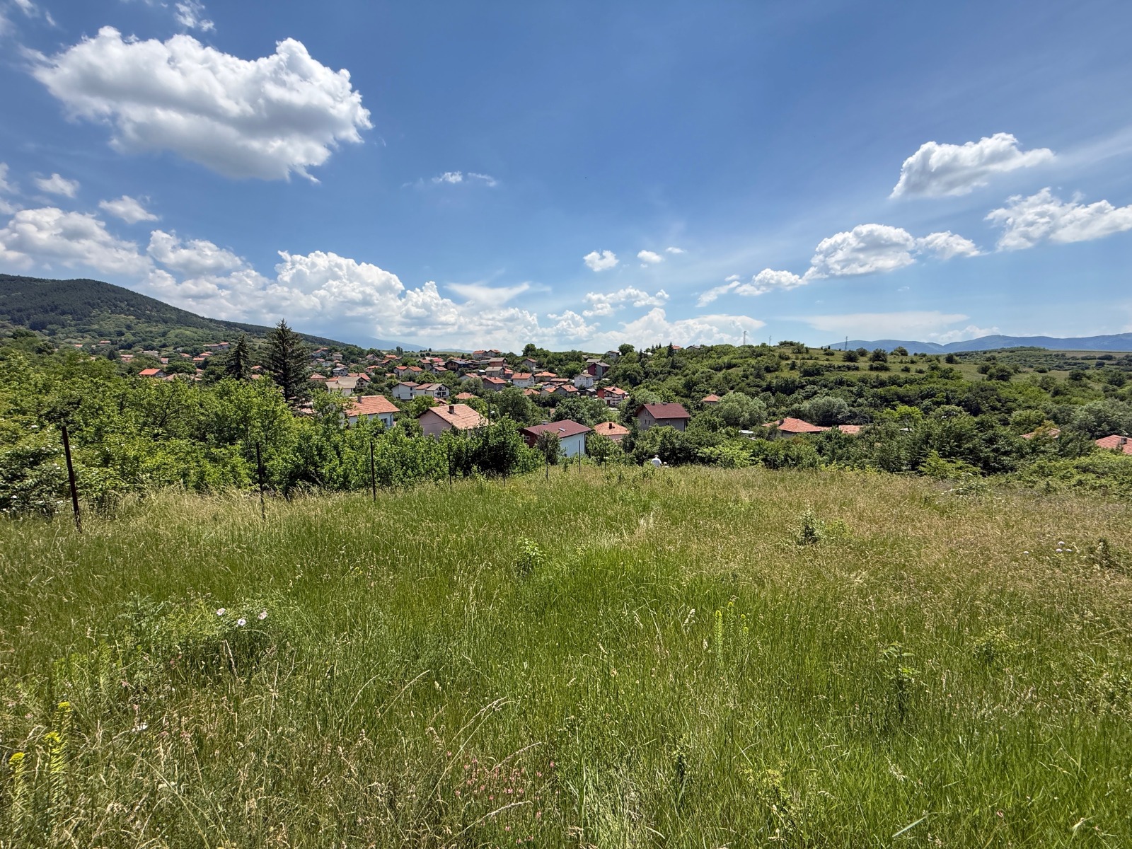 Продава ПАРЦЕЛ, с. Дивотино, област Перник, снимка 7 - Парцели - 54407339