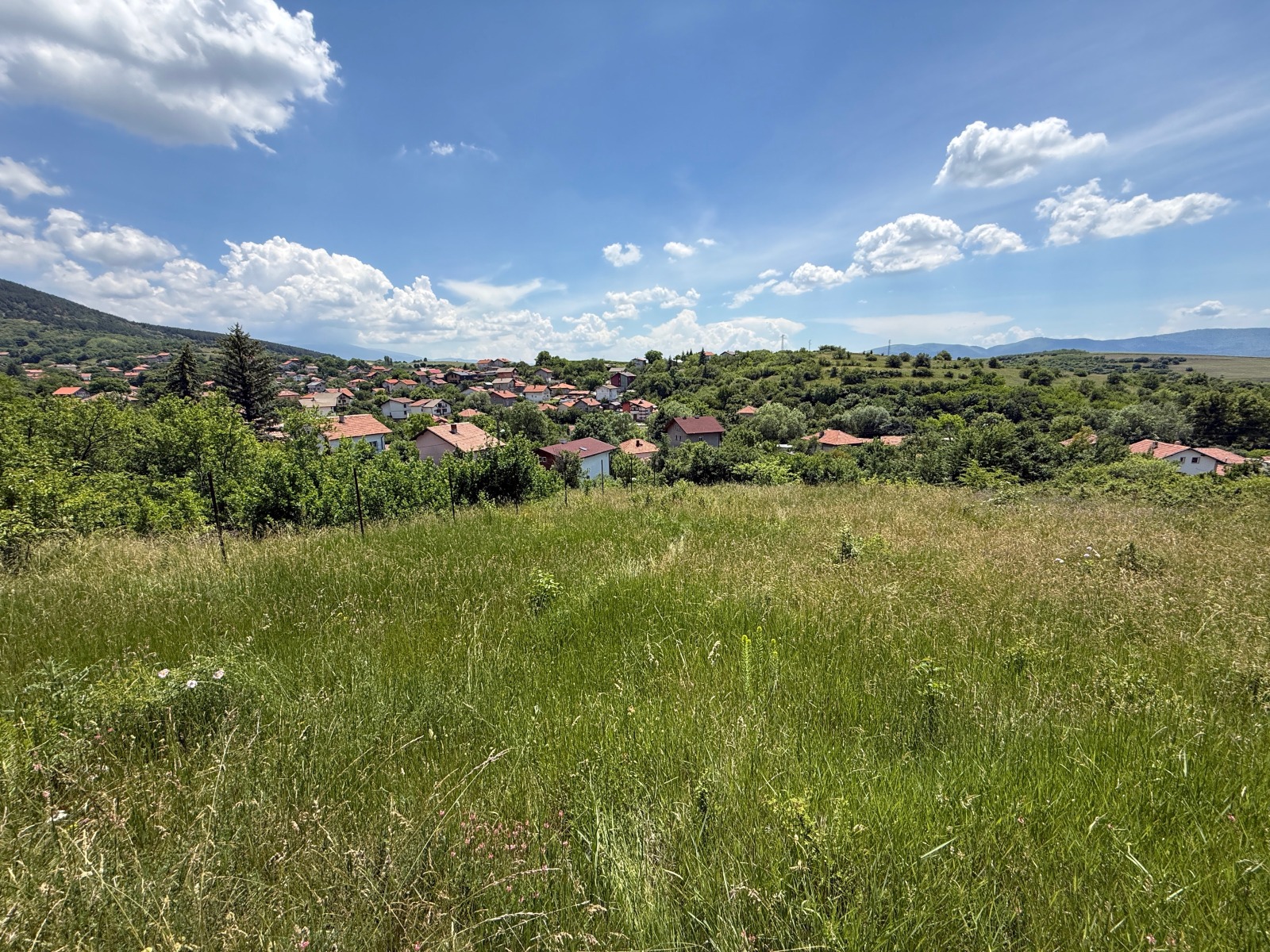 Продава ПАРЦЕЛ, с. Дивотино, област Перник, снимка 4 - Парцели - 54407339