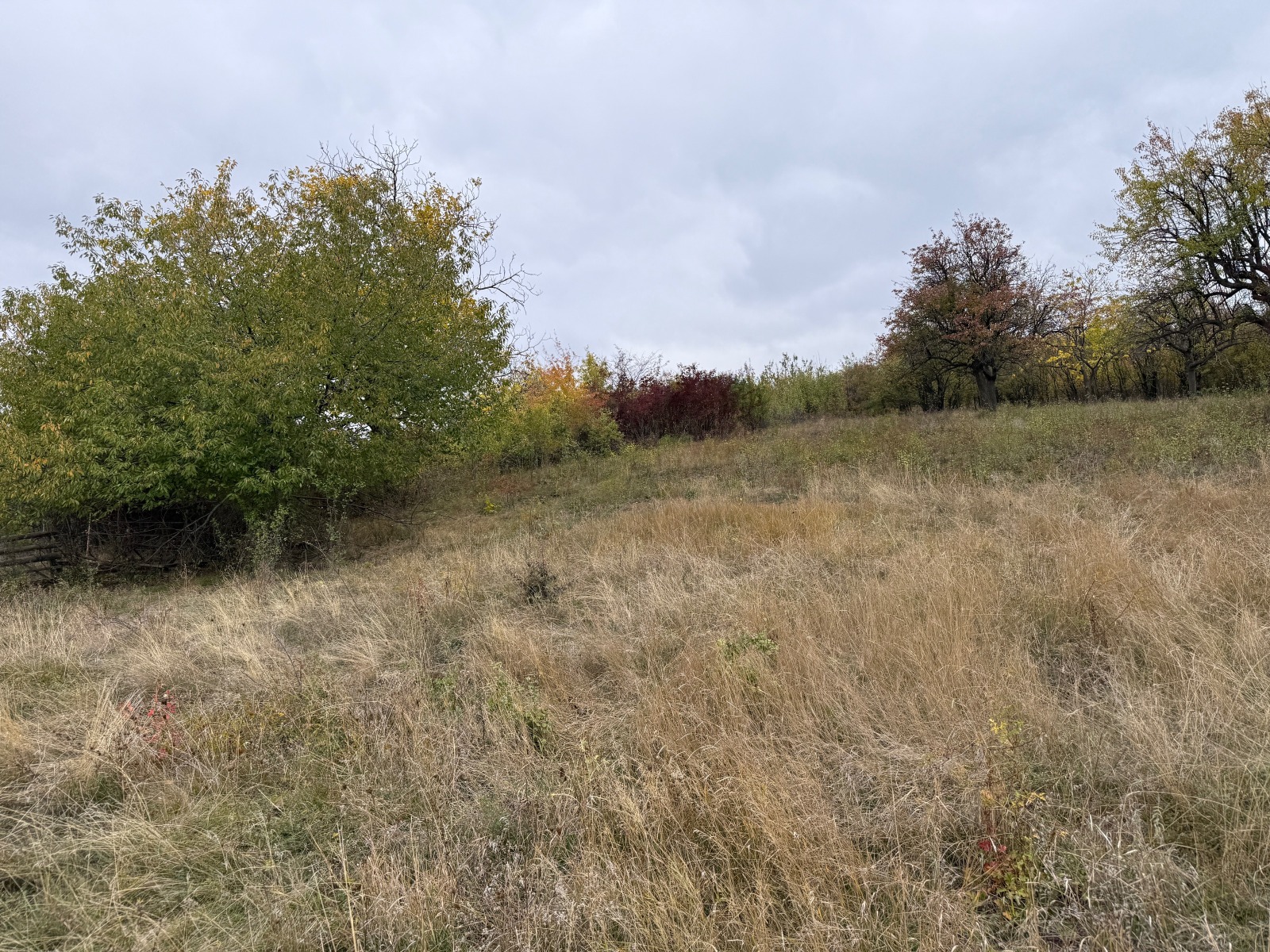 Продава ПАРЦЕЛ, с. Дивотино, област Перник, снимка 3 - Парцели - 54407339