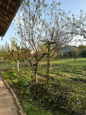 ������� ���� | Imot.bg � ����� ������ 3