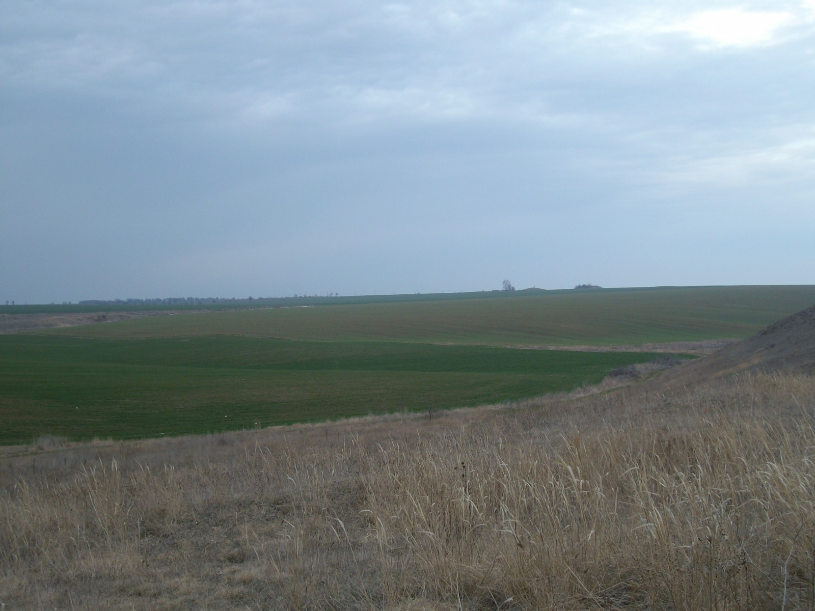 Продава ЗЕМЕДЕЛСКА ЗЕМЯ, гр. Шабла, област Добрич, снимка 2 - Земеделска земя - 56079978