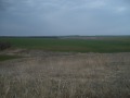 Продава ЗЕМЕДЕЛСКА ЗЕМЯ, гр. Шабла, област Добрич, снимка 1
