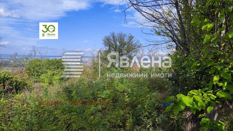 ������� ������ | Imot.bg � ����������� 12