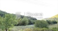 Продава ПАРЦЕЛ, област Ловеч, гр. Тетевен • 25000 € / 48895.75 лв. • 24711883 1