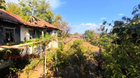 ����� ������� ����,�. �������, ������ ����