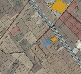 ����� ������� ������,���� �������, ������������� ����