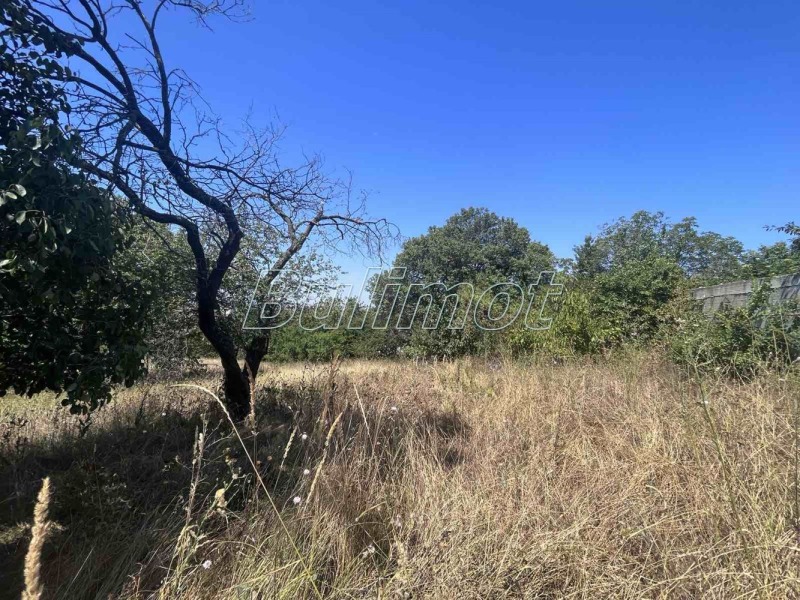 Na prodej  Spiknutí Varna , m-t Pčelina , 2000 m2 | 49843964 - obraz [4]