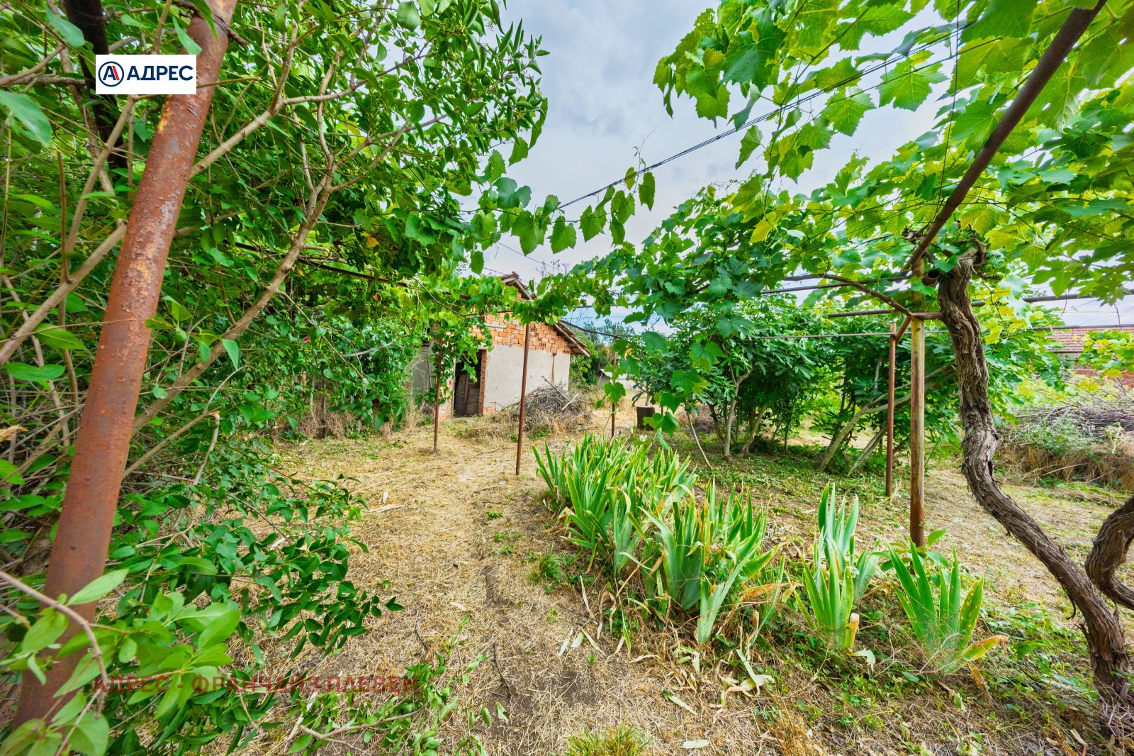 Продава КЪЩА, с. Пелишат, област Плевен, снимка 9 - Къщи - 55348336