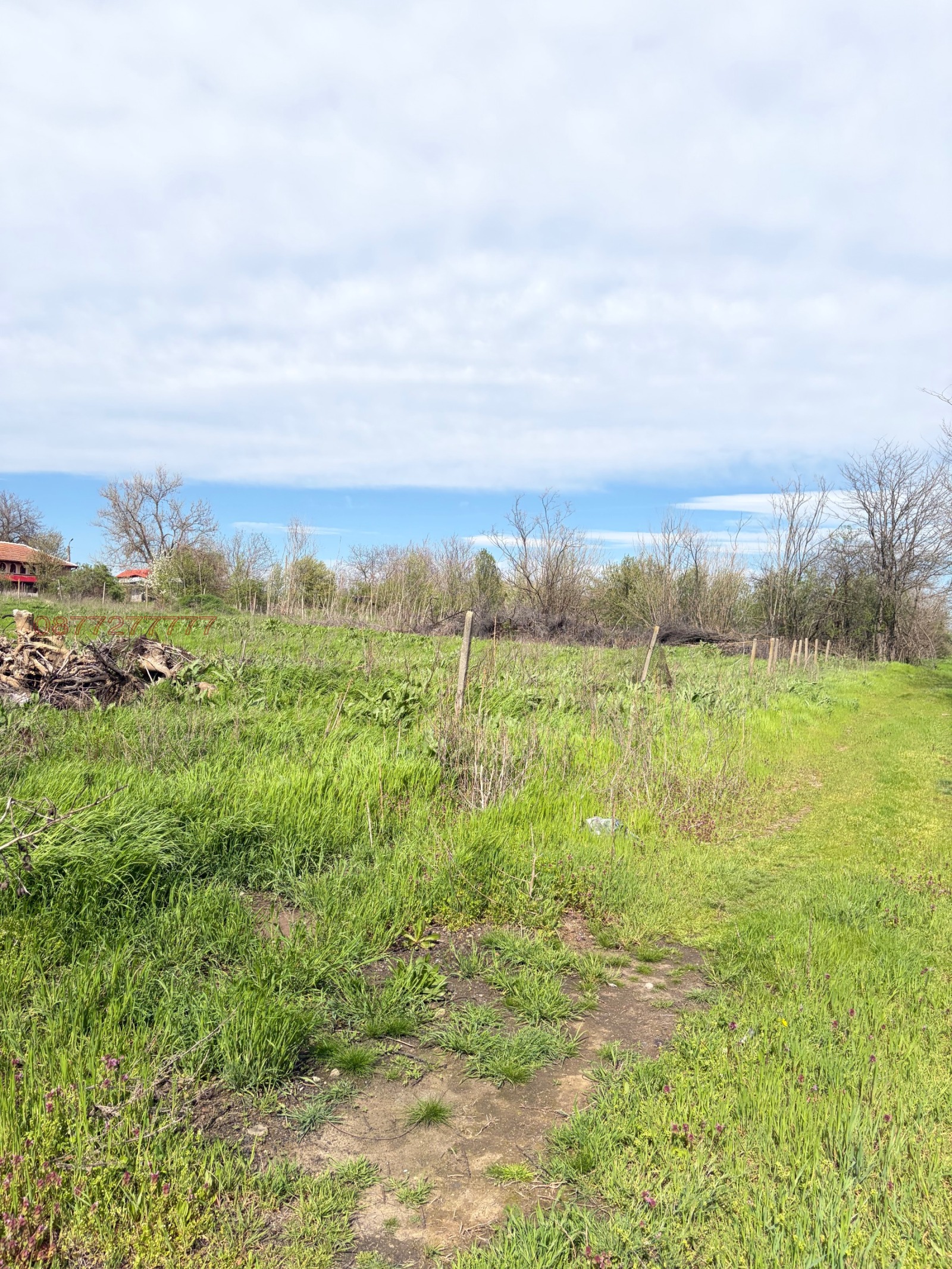 Продава ПАРЦЕЛ, с. Кутово, област Видин, снимка 5 - Парцели - 54344170