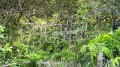 Продава ПАРЦЕЛ, гр. Бургас, с. Братово, снимка 6