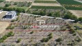 Продава ПАРЦЕЛ, област Пловдив, с. Брестник • 125000 € • 49269218 — Holmes.bg