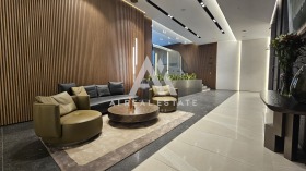 ����� ������� 3-�����,���� �����, �������� ����