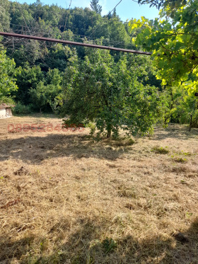 ������� ������ | Imot.bg � ����� ������ 4