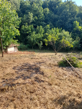 ������� ������ | Imot.bg � ����� ������ 5