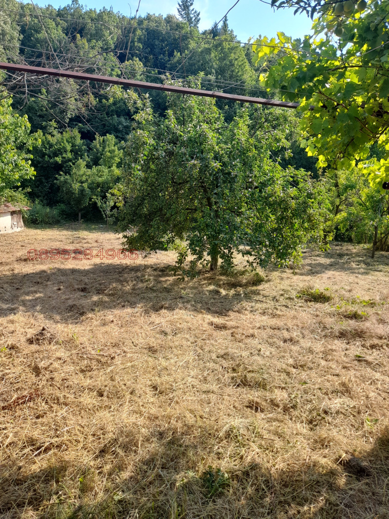 Продава ПАРЦЕЛ, с. Крайни дол, област Кюстендил, снимка 4 - Парцели - 52972862