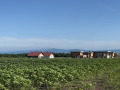 Продава ПАРЦЕЛ, гр. Поморие, област Бургас, снимка 4