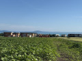 Продава ПАРЦЕЛ, гр. Поморие, област Бургас, снимка 3