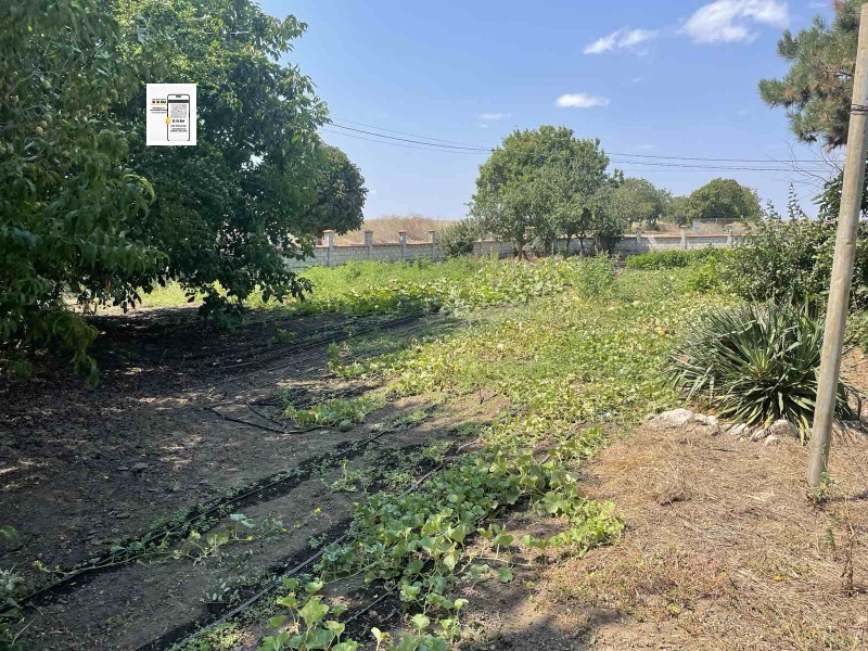 Продава ПАРЦЕЛ, с. Крапец, област Добрич, снимка 4 - Парцели - 52751209