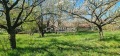 Продава КЪЩА, с. Острец, област Търговище, снимка 2