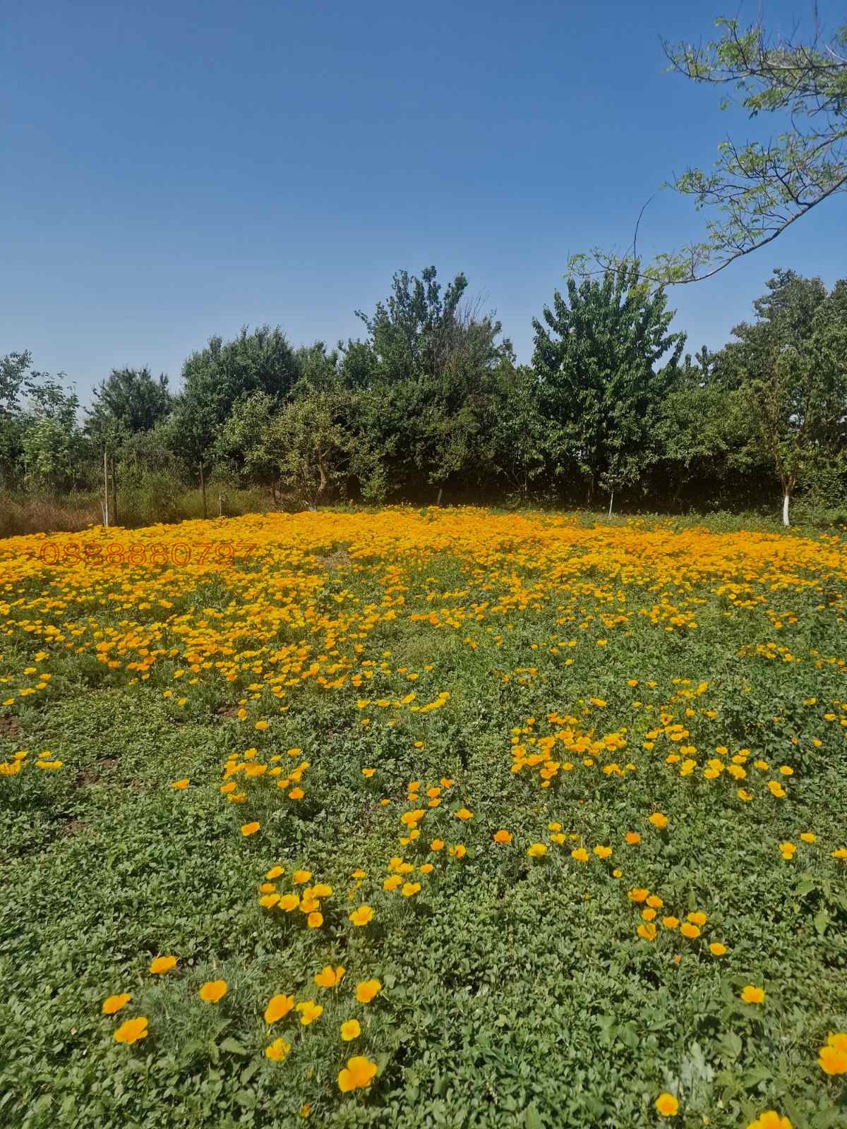 Продава ПАРЦЕЛ | Imot.bg — изображение 1