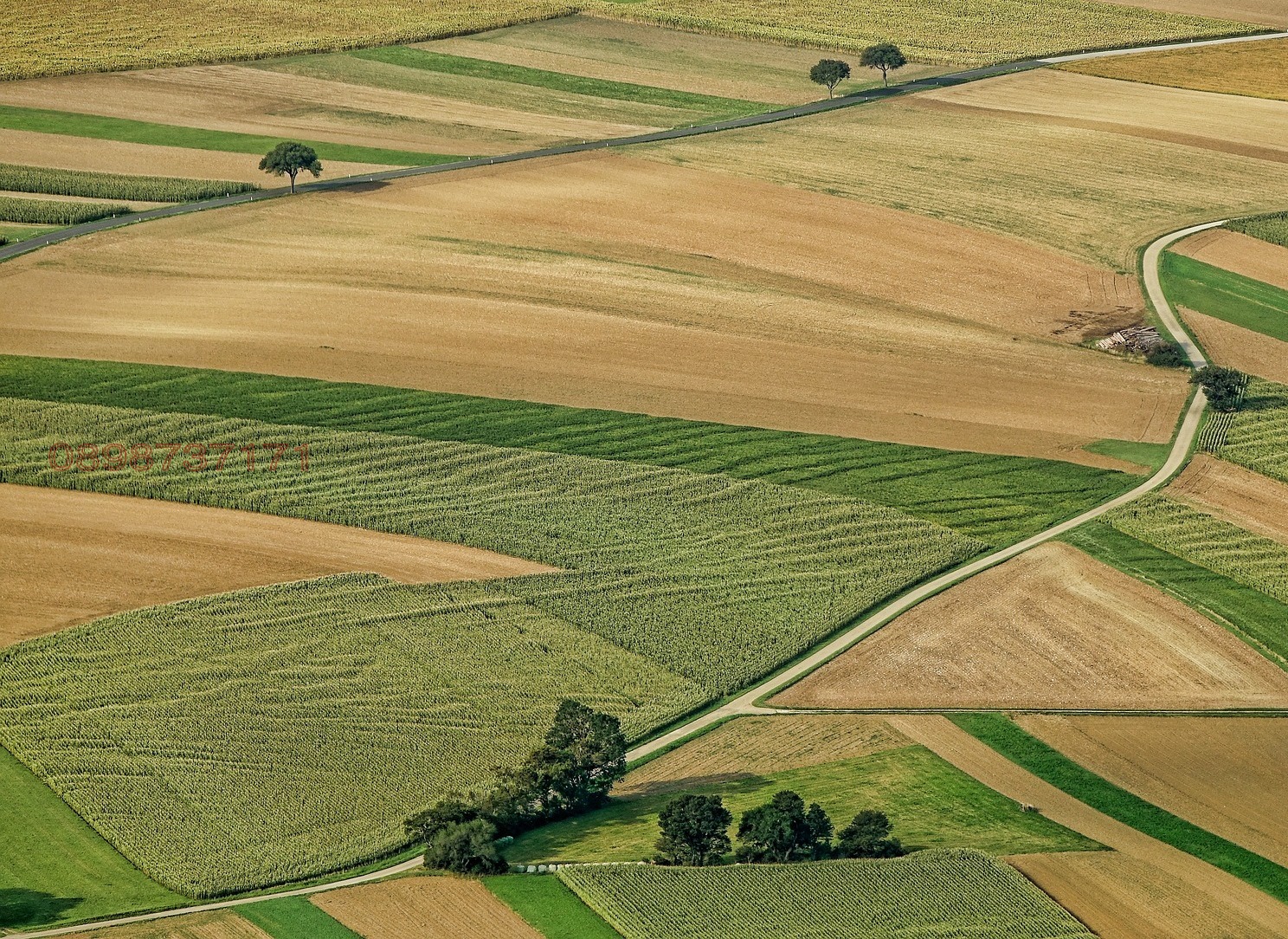 ������� ���������� ���� | Imot.bg � ����������� 1