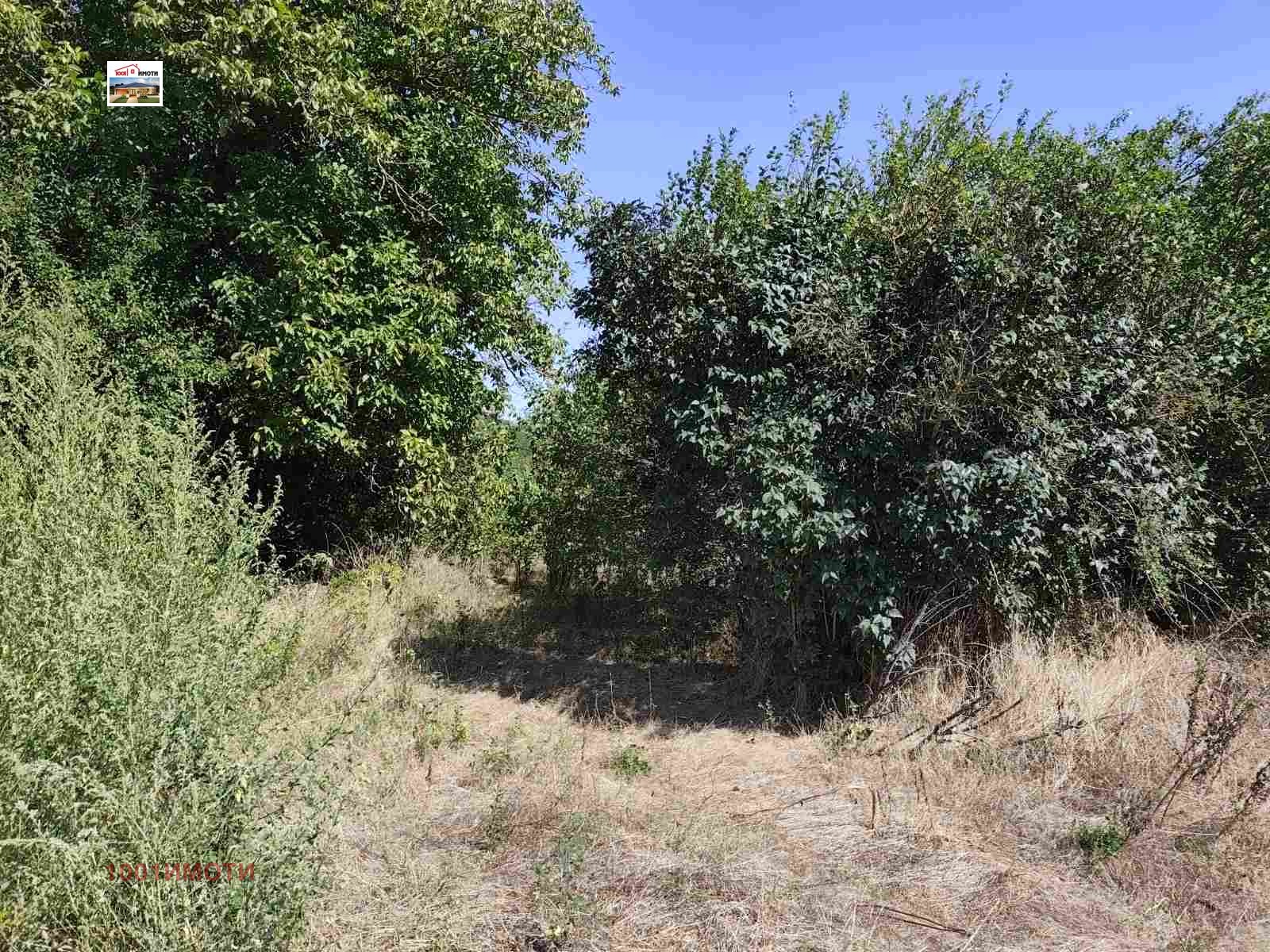 Продава КЪЩА, с. Ловчанци, област Добрич, снимка 6 - Къщи - 55835635