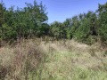 Продава КЪЩА, с. Ловчанци, област Добрич, снимка 8