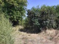 Продава КЪЩА, с. Ловчанци, област Добрич, снимка 6