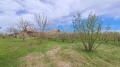 Продава ПАРЦЕЛ, с. Кривини, област Варна, снимка 10