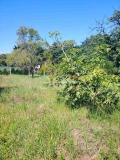 Продава  Къща град Варна , м-т Боровец - север , 35 кв.м | 49285453 - изображение [5]