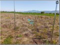Продава ПАРЦЕЛ, област Пловдив, с. Крумово • 42000 € • 49854303 — Holmes.bg