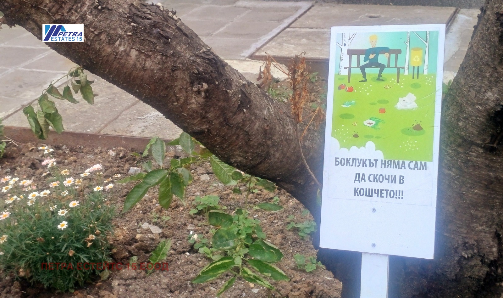 Продава 3-СТАЕН | Imot.bg — изображение 15