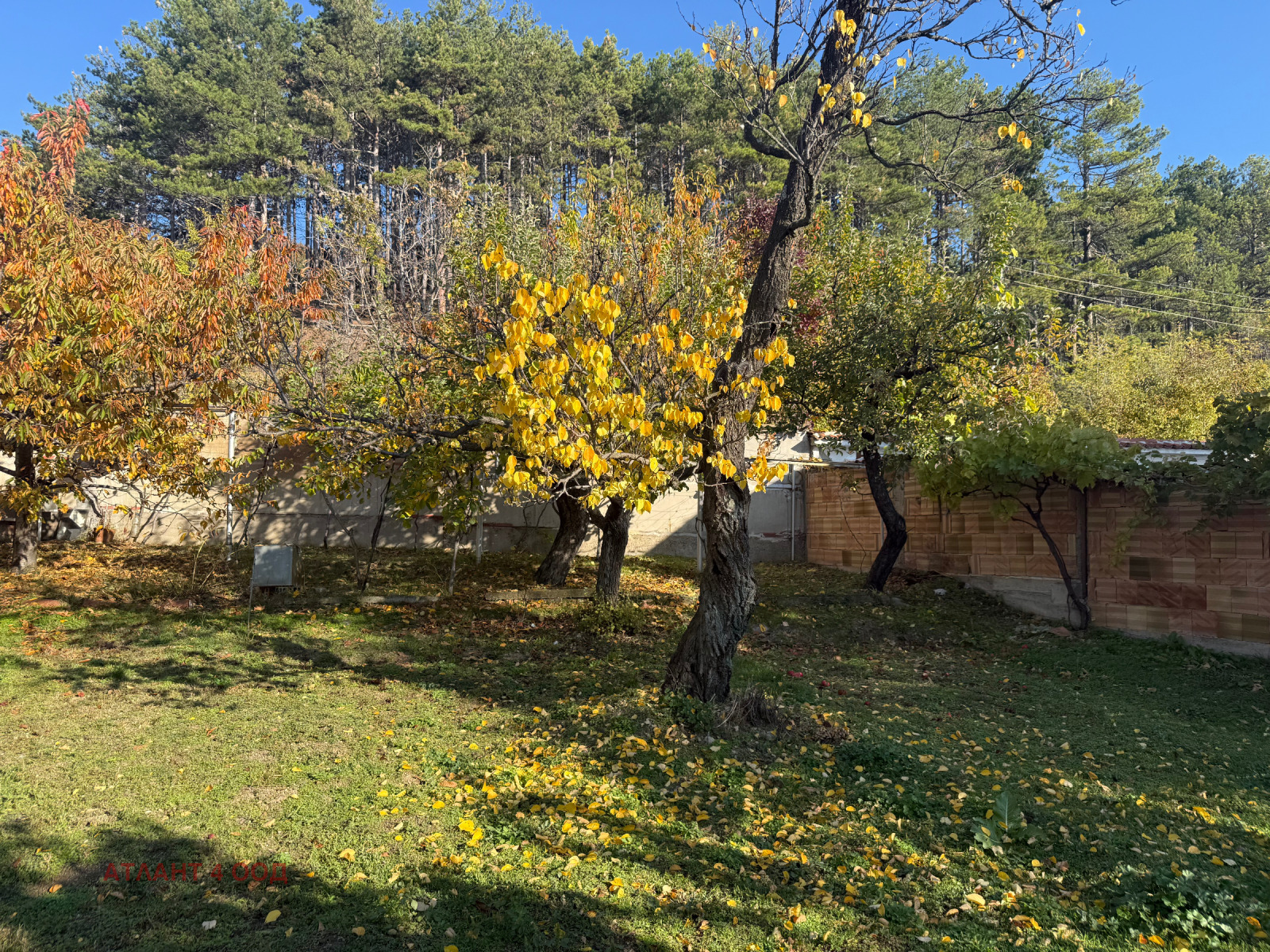 ������� ���� | Imot.bg � ����������� 4