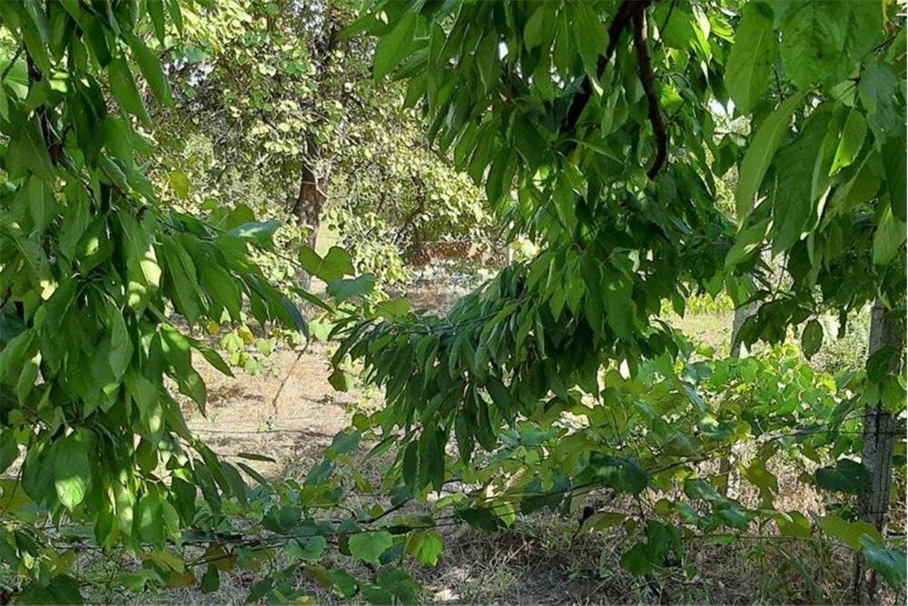 ������� ������ | Imot.bg � ����������� 3