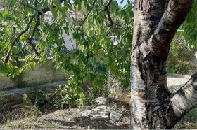 ������� ������ | Imot.bg � ����� ������ 2