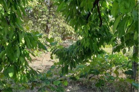 ������� ������ | Imot.bg � ����� ������ 3