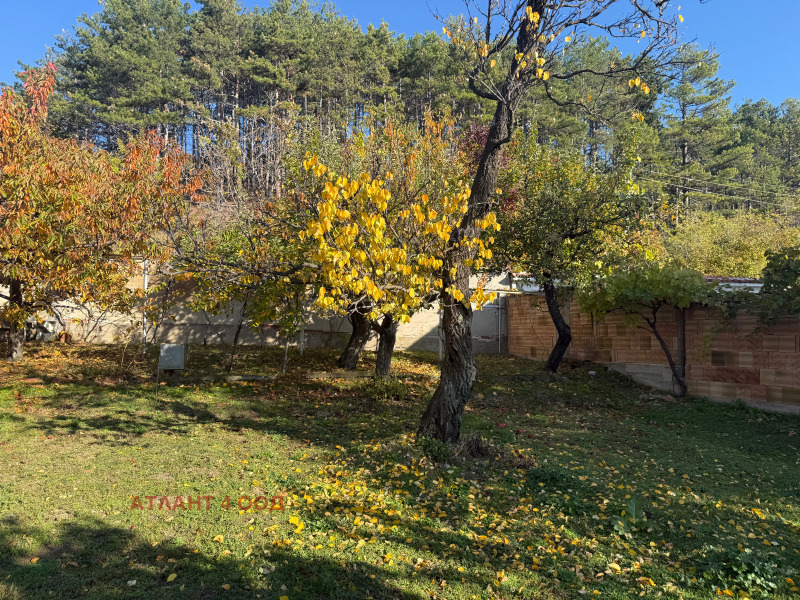 Продава КЪЩА, с. Ясеново, област Стара Загора, снимка 3 - Къщи - 52715973