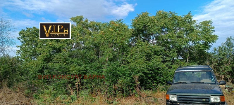 For Sale  Plot region Varna , Trastikovo , 1000 sq.m | 86240783 - image [12]